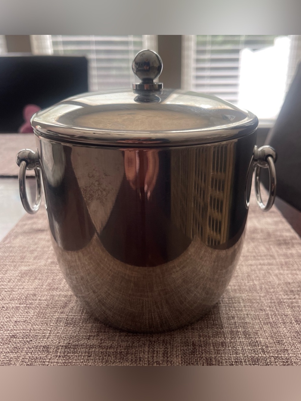 Stainless Steel Ice Bucket with Lid and Side Rings - Silver